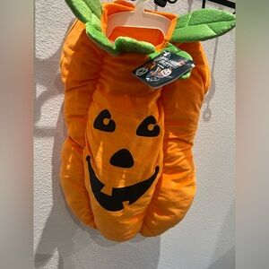 Bundle of 2 pumpkin dog costumes